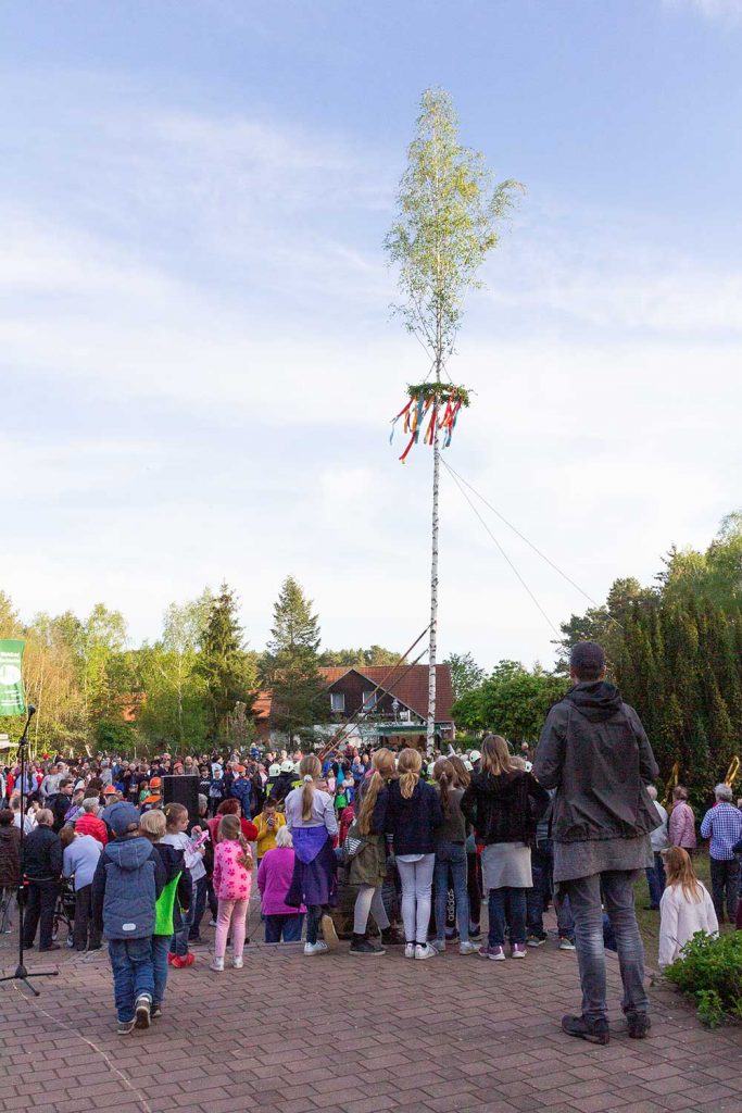 Maibaum, Borkheide