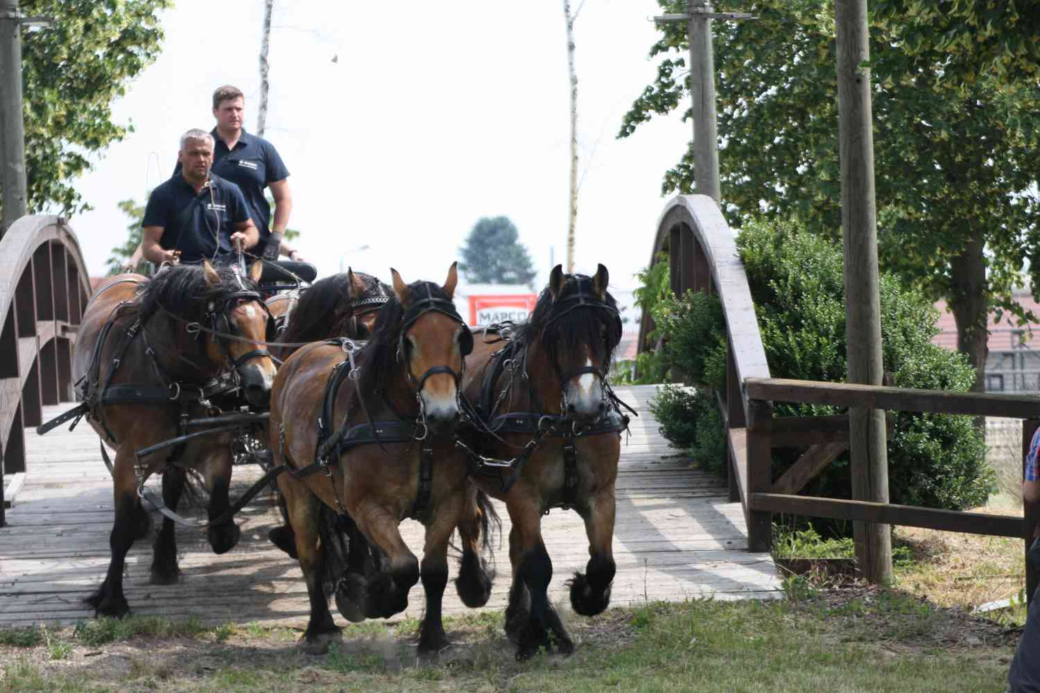 Titanen der Rennbahn, Brück