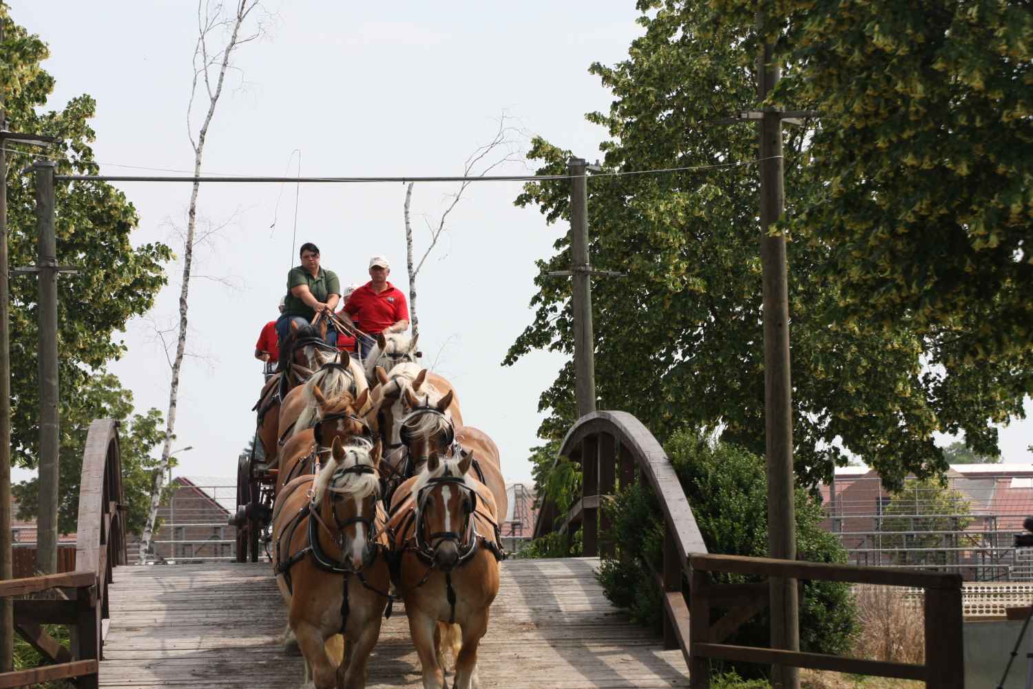 Titanen der Rennbahn, Brück