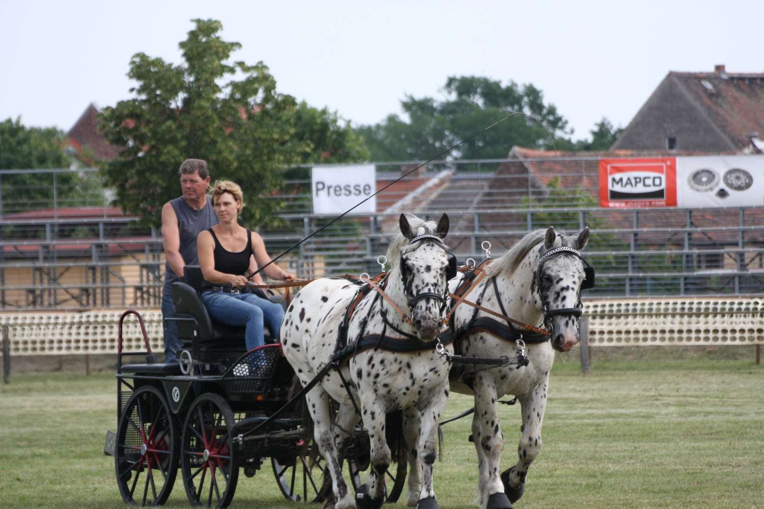 Titanen der Rennbahn, Brück