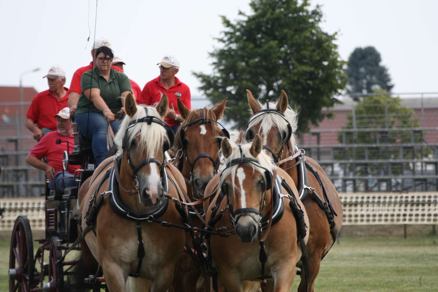 Titanen der Rennbahn, Brück