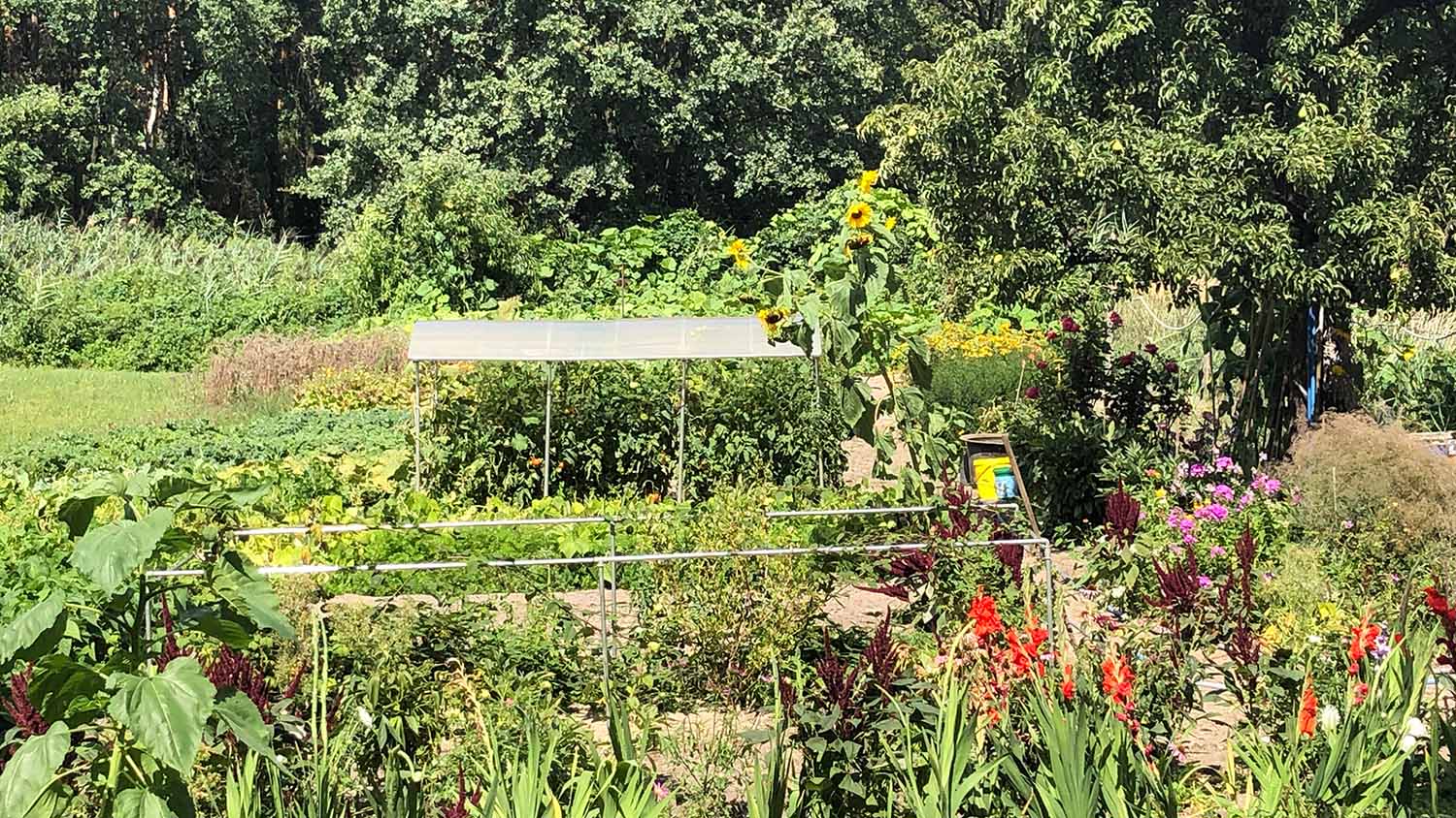 Ernst Paul Dörfler-Tour