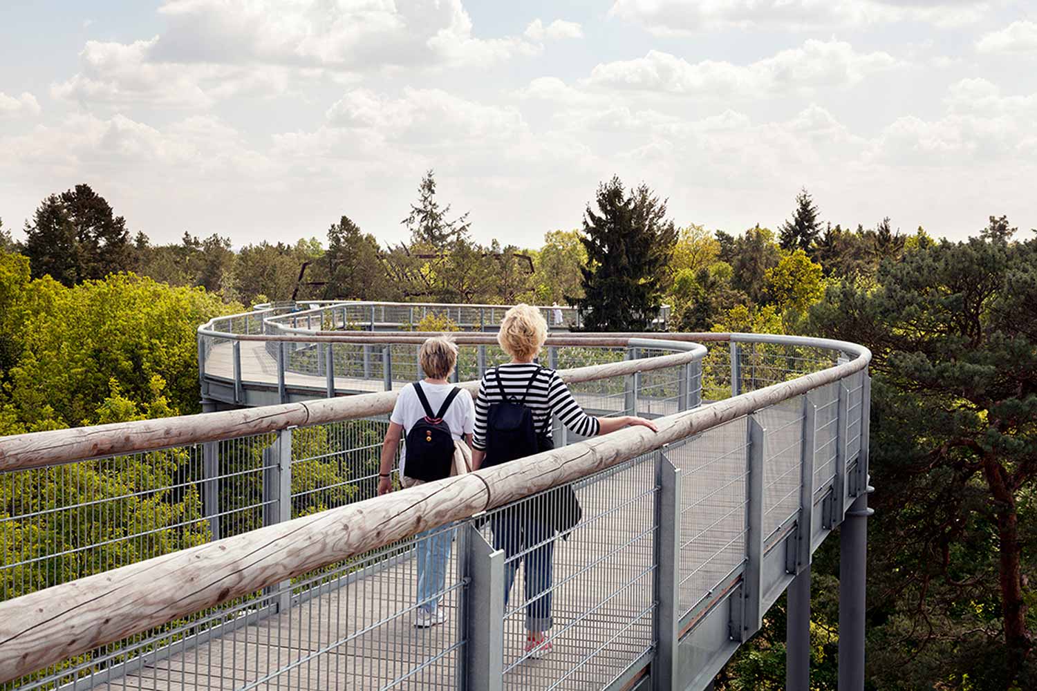 Baumkronenpfad, Baum&Zeit, Beelitz-Heilstätten