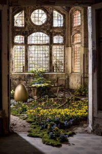 Baumkronenpfad, Baum&Zeit, Jagd nach dem goldenen Ei, Ostern, Corona, COVID-19