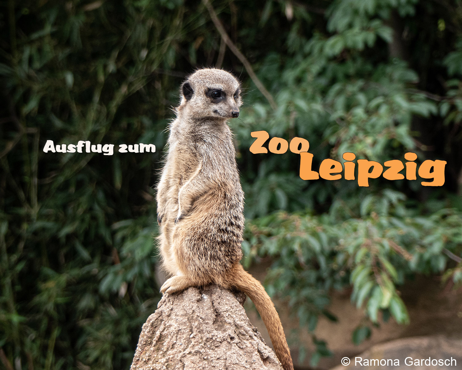 Zoo Leipzig