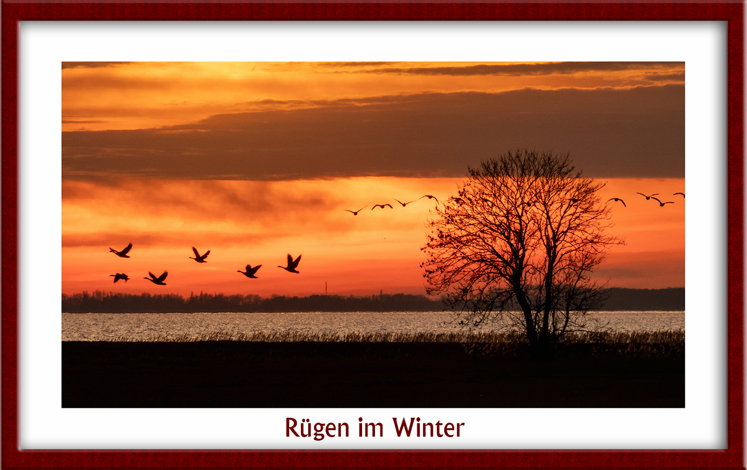 Rügen im Winter