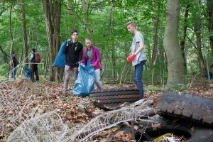 Beelitz, Oberschule Beelitz, Verbraucherschule
