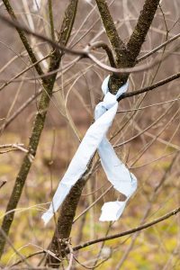 Waldkleeblatt, Windkraft, Bäume, Wald, juwi, Notus