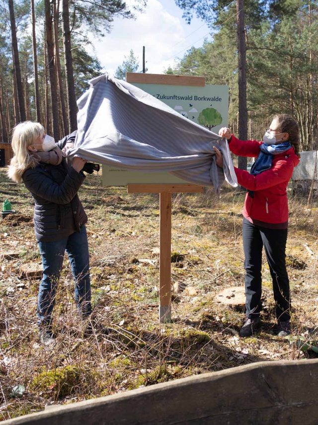 Zukunftswald Borkwalde gestartet