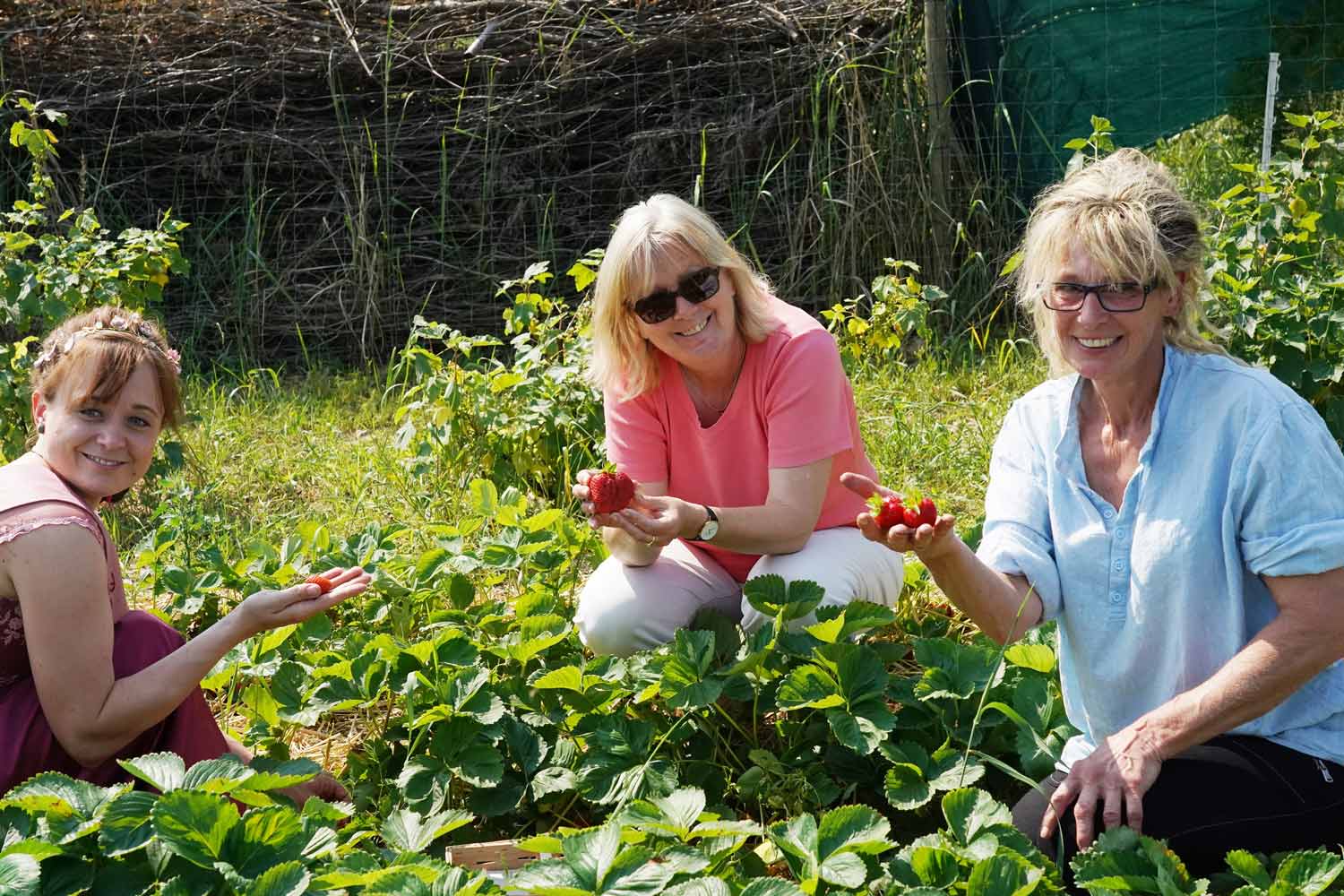 Werder, Glindow, Erdebeeren, BlütenkoniginTamara Thierschmann, Manuela Saß, Kerstin Kolkwitz