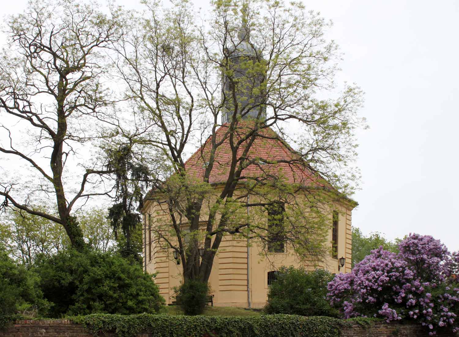 Blühende Kirche Golzow