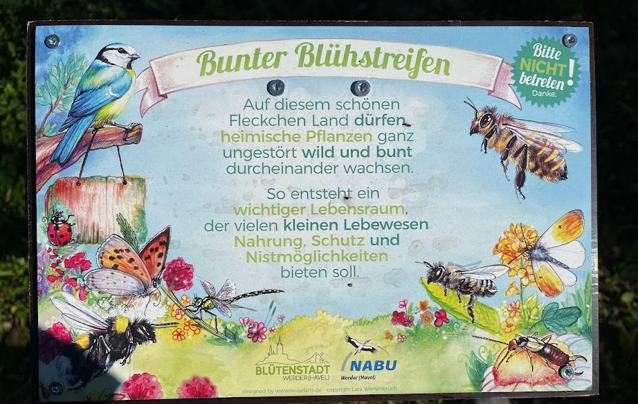 Blühwiese, Werder (Havel) Werder, Insel