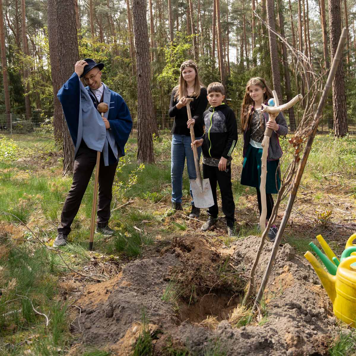 Baumkönig, Baumprinz, Baumprinzessin, Zukunftswald, Baum des Jahres, Rotbuche